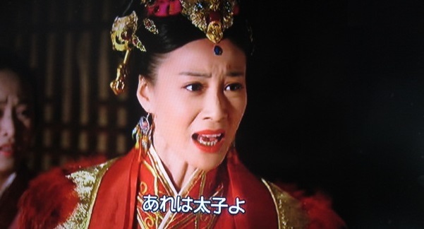 中国歴史ドラマ「ミーユエ 王朝を照らす月」 第１５話: ブログで見よう