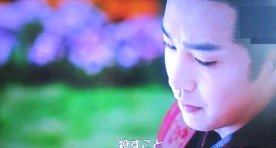 中国歴史ドラマ「独孤伽羅~皇后の願い~」 第24話: ブログで 中国歴史ドラマ「独孤伽羅~皇后の願い~」 第24話: ブログで