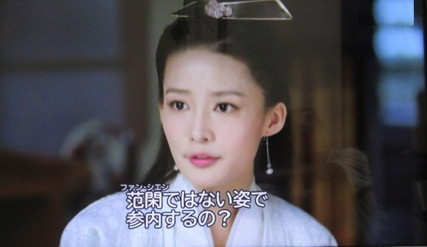 中国歴史ドラマ「慶余年」あらすじと感想 第29話: ブログで